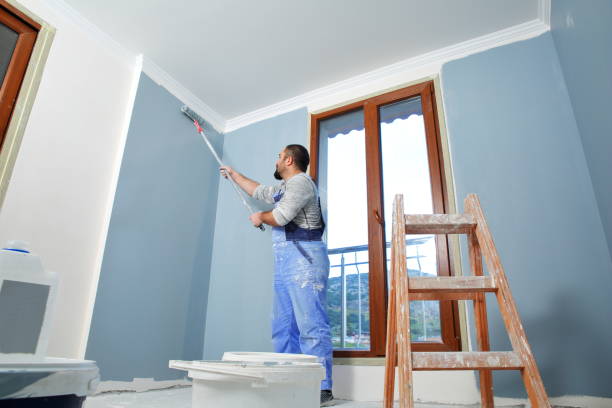 Best Mold Documentation for Insurance Claims  in Bainbridge Island, WA