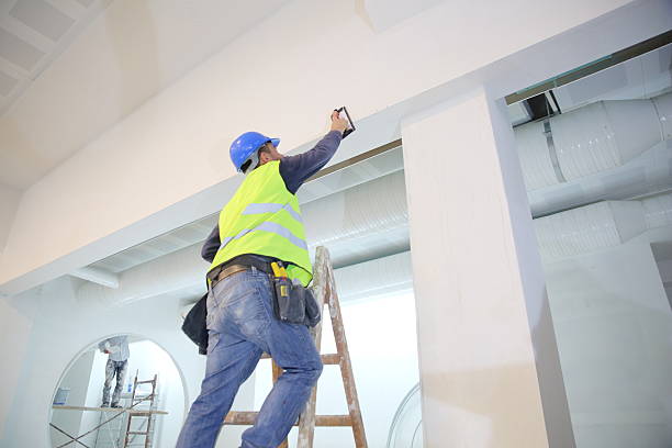 Environmental Consulting for Mold Prevention in Bainbridge Island, WA