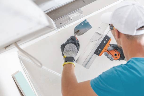 Best Attic Mold Removal  in Bainbridge Island, WA